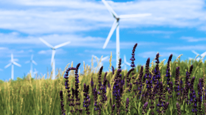 Energy & Commodities, Agribusiness