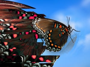 The Next Sales & Operations Planning (S&OP) Paradigm